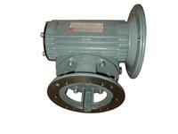 Gear, snekke Pujol 11,25 rpm med flange til Passat Compact C2-C16 og HO